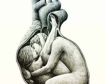 considerazioni evolutive