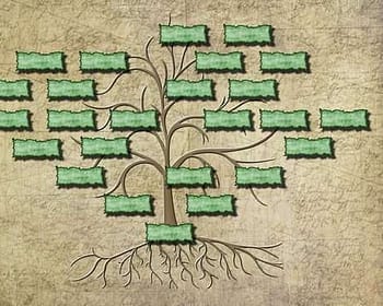 albero genealogico