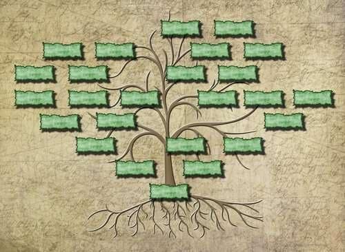 albero genealogico
