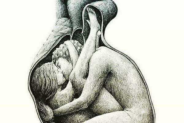 considerazioni evolutive