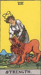 La forza