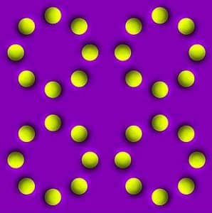 380921_2776753107214_690477153_n