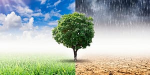 cambiamento del clima