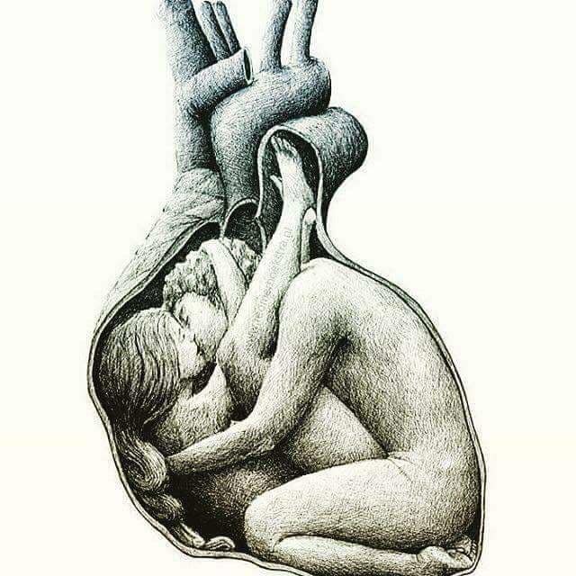 considerazioni evolutive